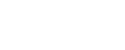 100 Days My Prince